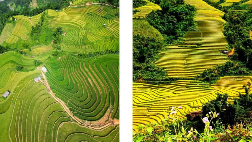 ha-giang-terraced-rice-fields