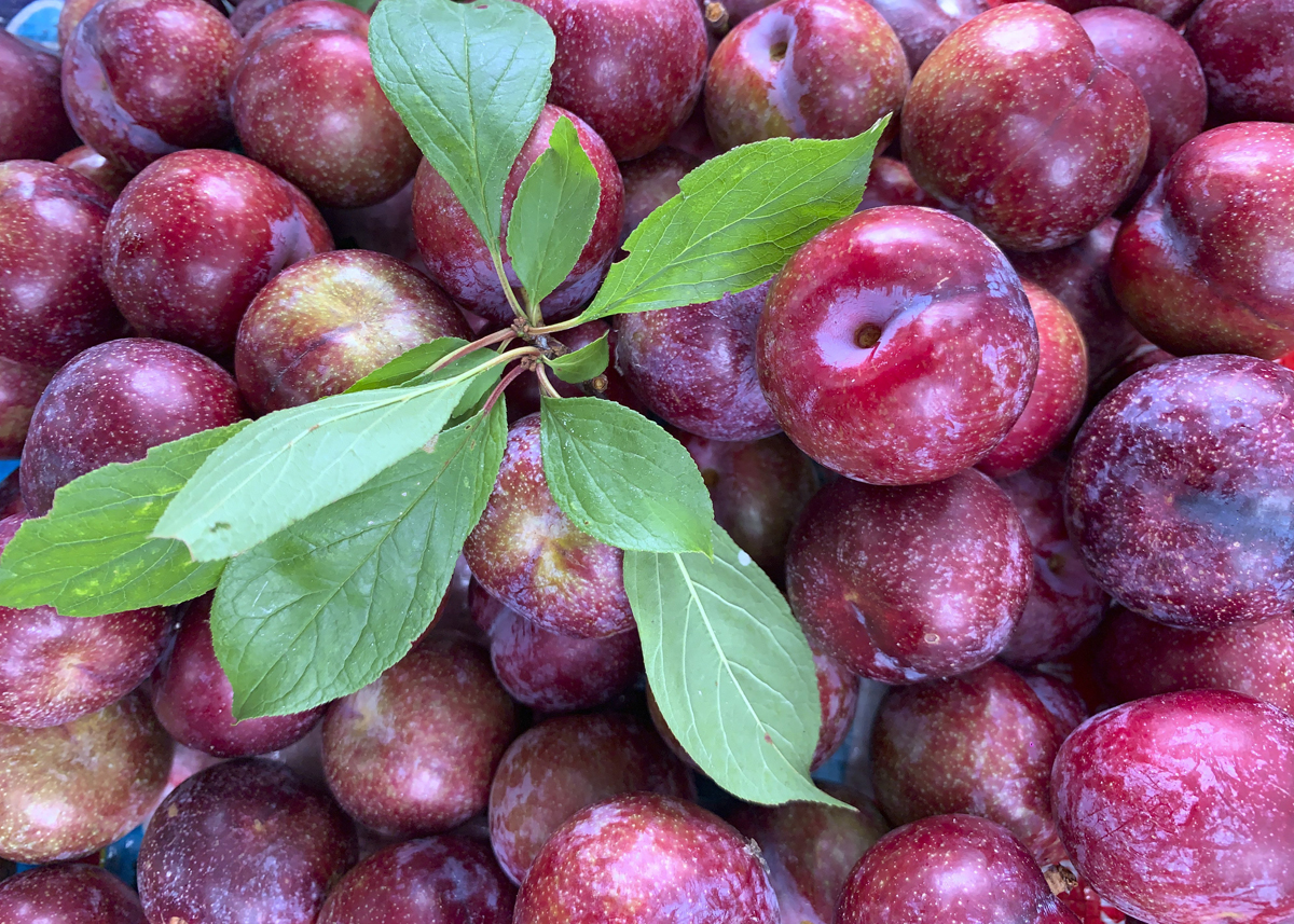 what-to-eat-in-ha-giang