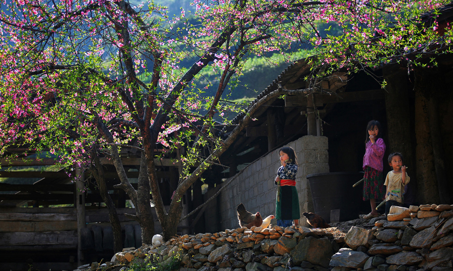 khau-vai-love-market-2