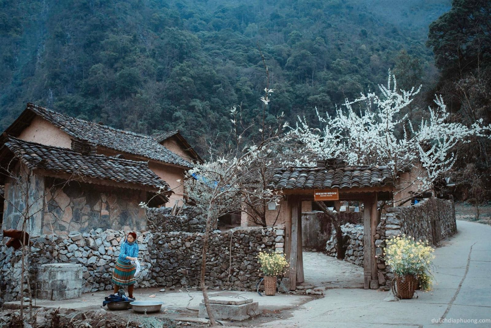 what-to-do-in-ha-giang