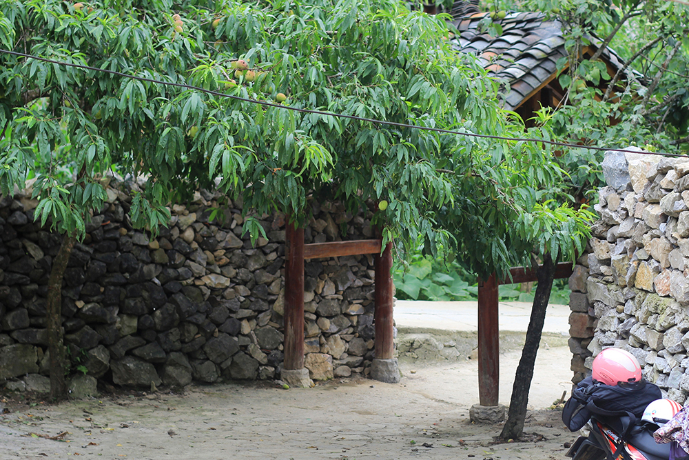 pao-s-house-ha-giang-stone-fence