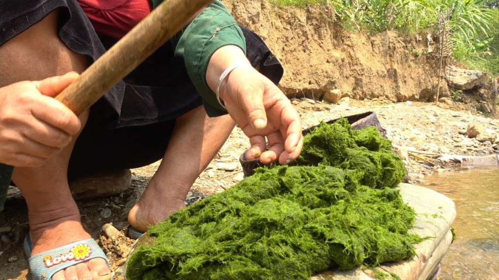 vegan-dishes-in-ha-giang-grilled-moss