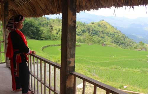 Homestay in Ha Giang